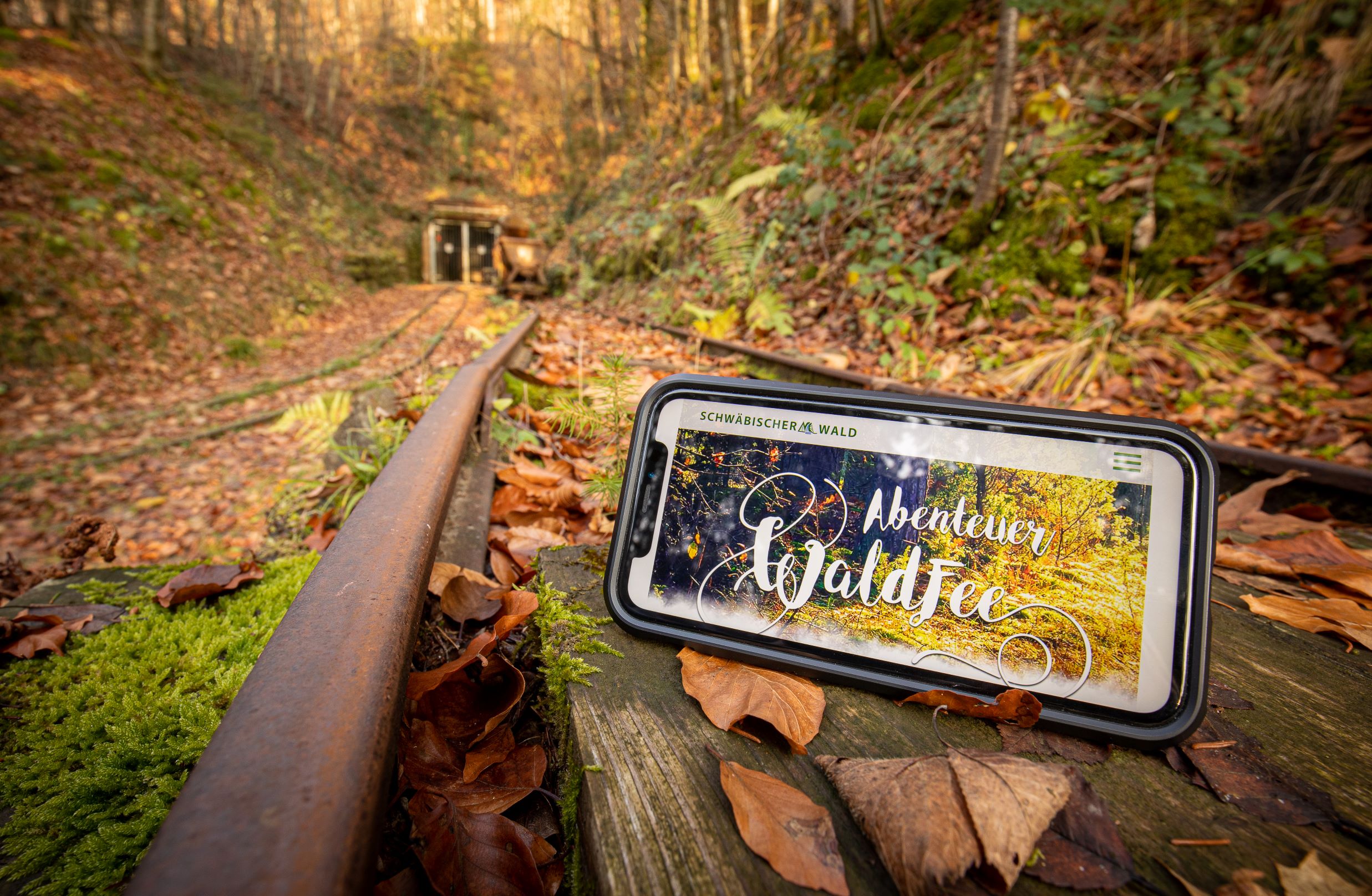  Smartphone im Wald mit der Abteneuer Waldfee App 